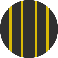 Розмітка 1.25
